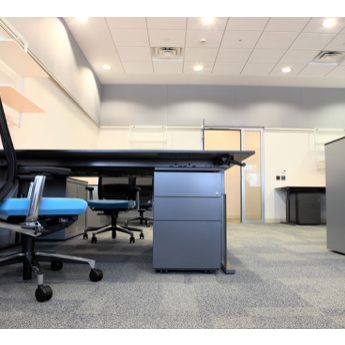 Bissell Carpet Cleaner: Is Your Carpet at High Risk of Mold Growth?
