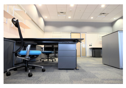 Bissell Carpet Cleaner: Is Your Carpet at High Risk of Mold Growth?