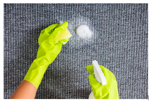 Use Your Commercial Carpet Shampooer the Right Way for Best Results ...