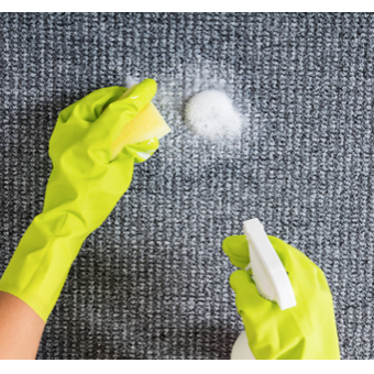 Commercial Carpet Shampooing