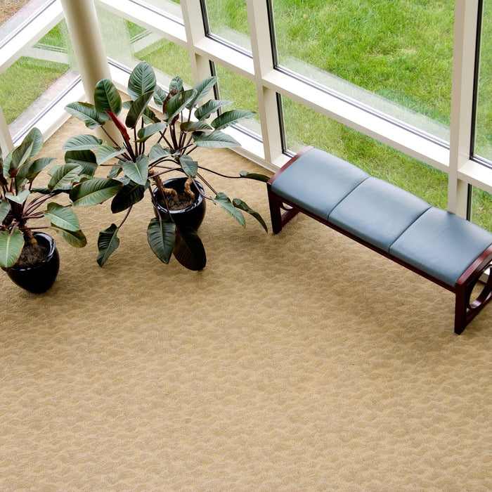 What Are The Best Vacuums For Office Buildings?
