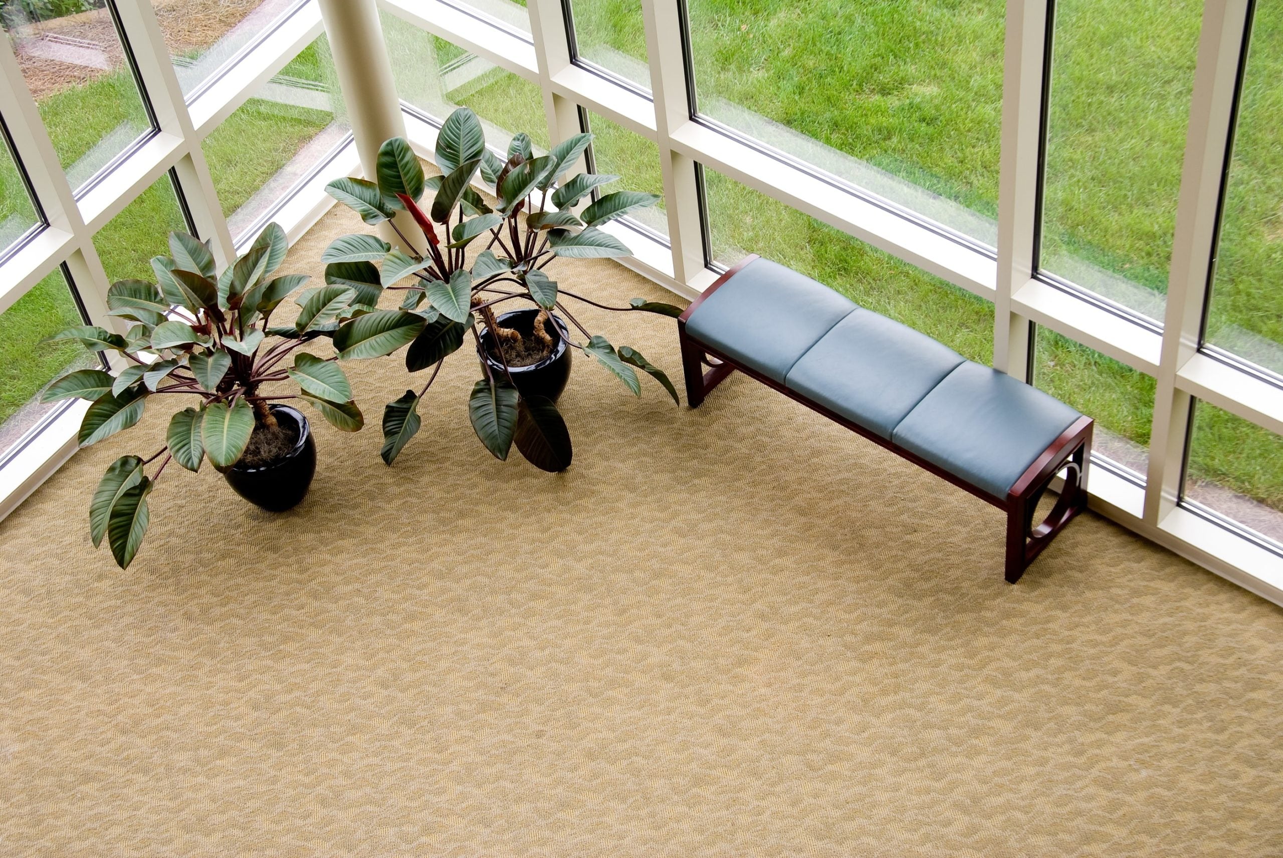 Can You Damage Your Carpets When Cleaning Them?