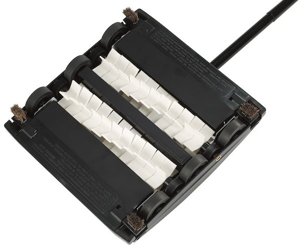 BG21® - Image 3